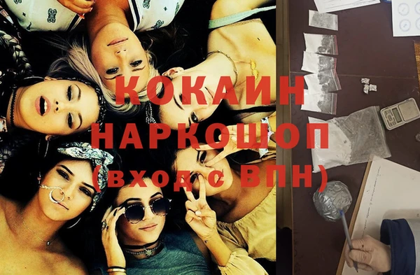 трава Гусиноозёрск