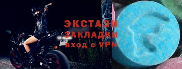 трава Гусиноозёрск