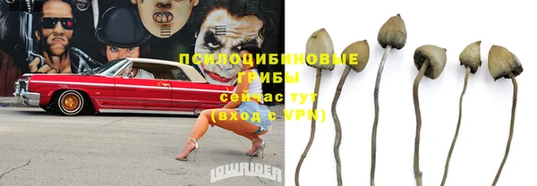 трава Гусиноозёрск