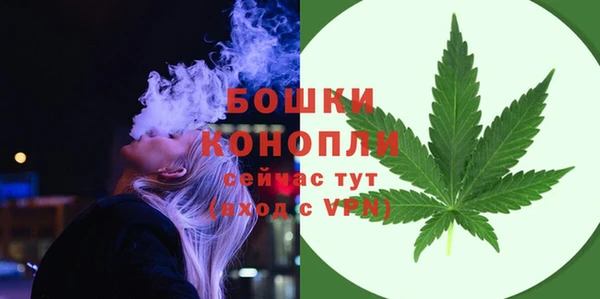 трава Гусиноозёрск