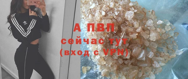 трава Гусиноозёрск
