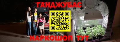 эйфоретик Аргун