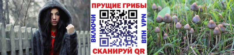 купить наркотики цена  Наро-Фоминск  Псилоцибиновые грибы мухоморы 