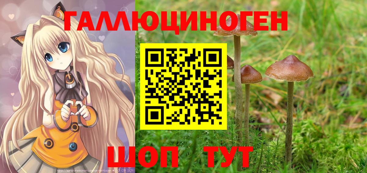 Галлюциногенные грибы Psilocybine cubensis Наро-Фоминск