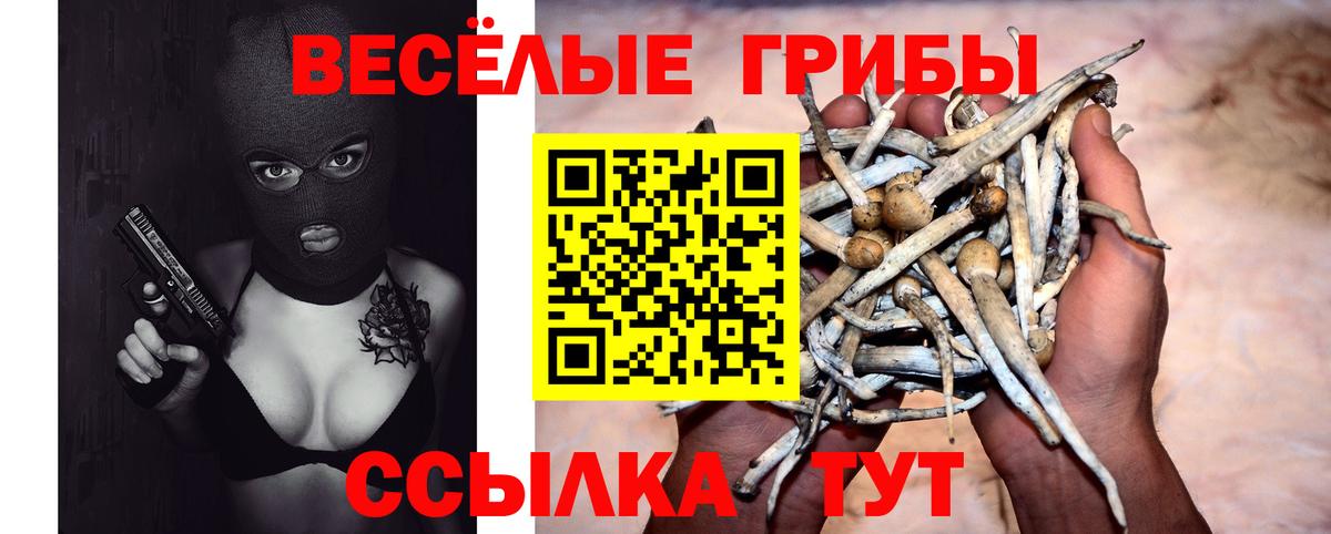 Галлюциногенные грибы Magic Shrooms Наро-Фоминск